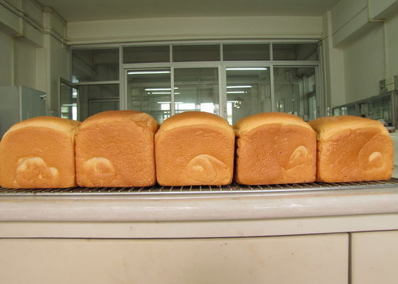 Damıtılmış Mono Gliserit E-DH-Z45