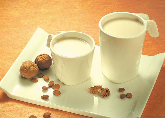 Damıtılmış Mono Gliserit E-DH-Z45